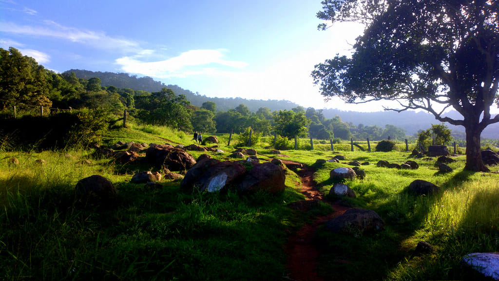 10 Best Resorts In Yelagiri – A Refreshing Staycation