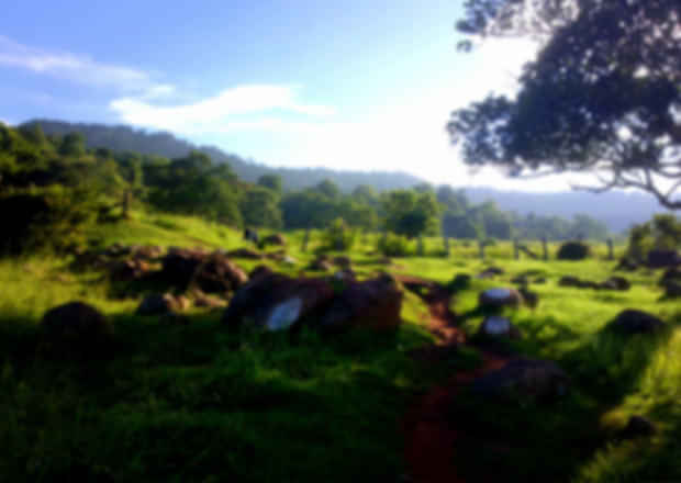 10 Best Resorts In Yelagiri – A Refreshing Staycation