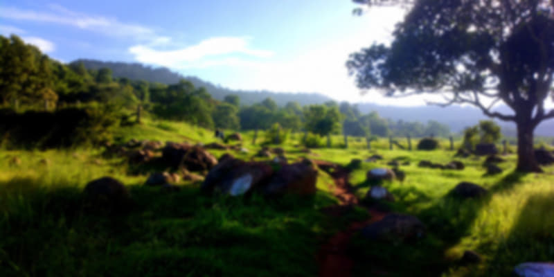 Beautiful View of Yelagiri