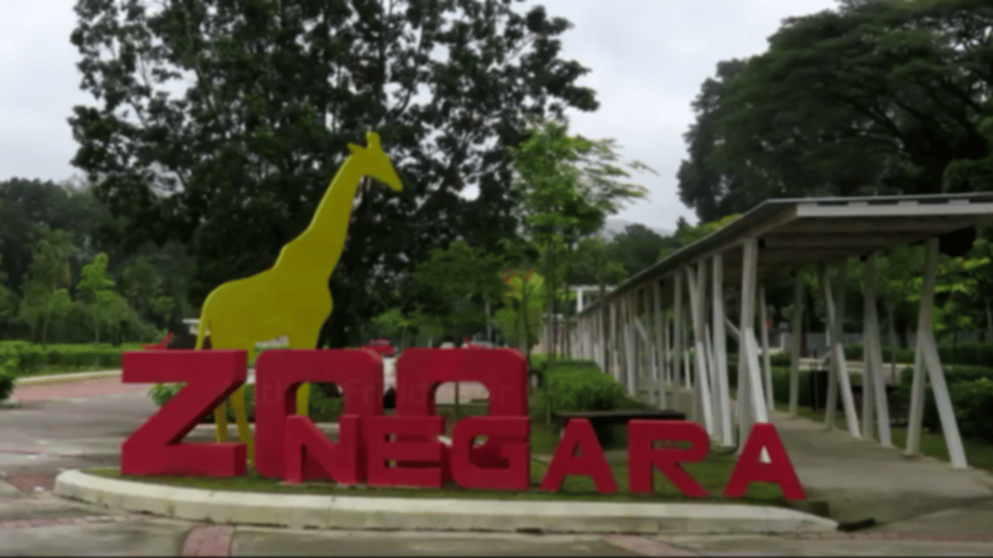 Zoo Negara In Kuala Lumpur – An artificially created wildlife entertainment