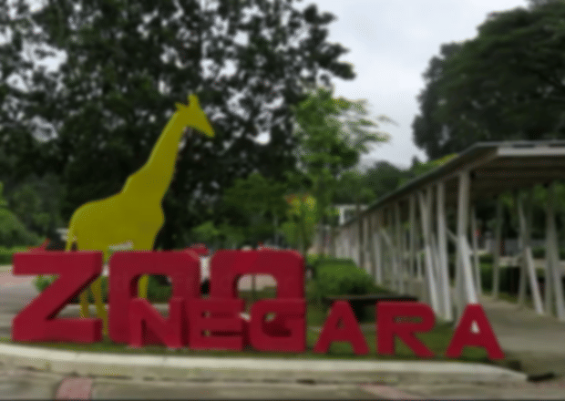 Zoo Negara In Kuala Lumpur – An artificially created wildlife entertainment