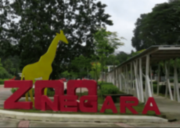 Zoo Negara In Kuala Lumpur – An artificially created wildlife entertainment