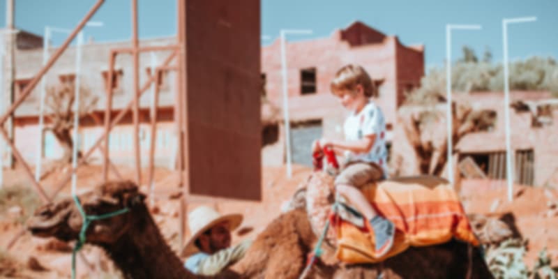 Bactrian Camel Safari