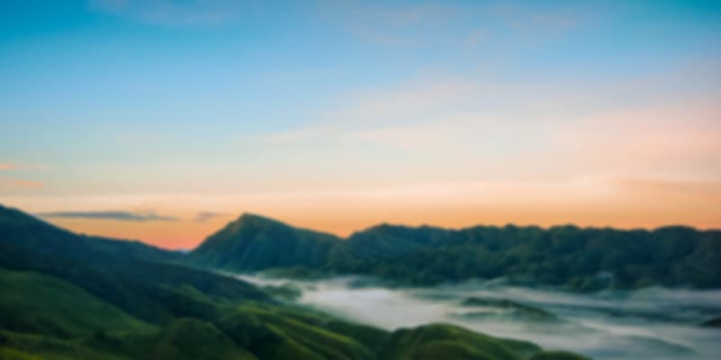 Dzukou Valley, Nagaland