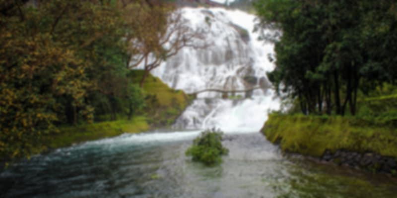 Bhandardara Waterfall NEAR MUMBAI FOR 02 DAYS