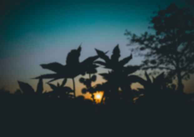 7 Must-Experience Festivals in Assam That Will Blow Your Mind
