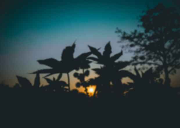 7 Must-Experience Festivals in Assam That Will Blow Your Mind