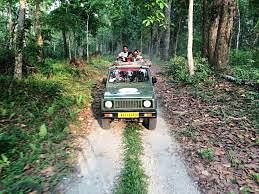 A picture of a group of people enjoying jeep safari