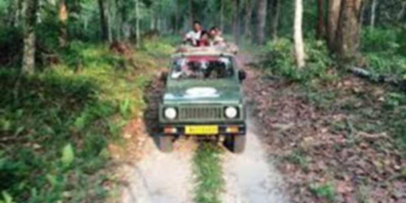 A picture of a group of people enjoying jeep safari