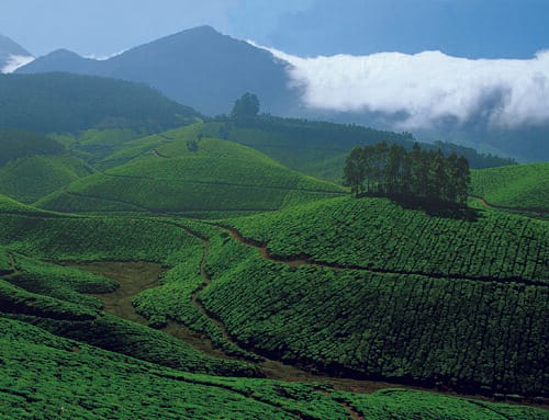 Munnar to Thekkady – The Scenic Route