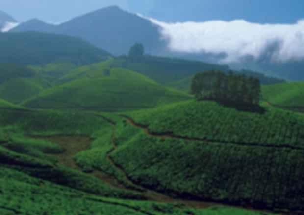 Munnar to Thekkady – The Scenic Route