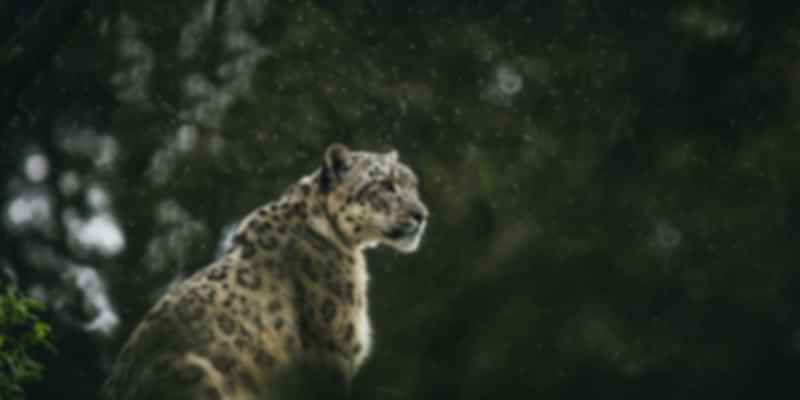 Things not to miss in Ladakh