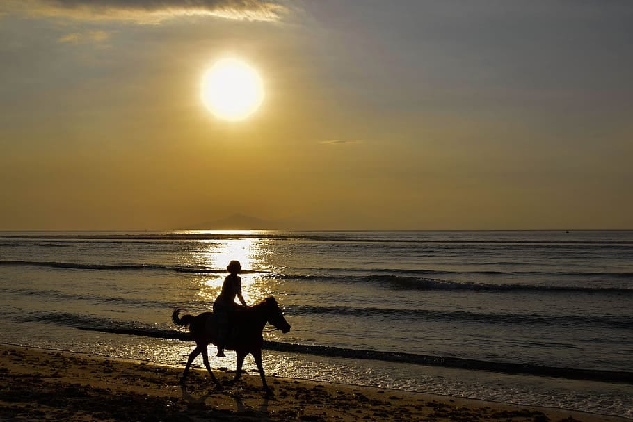 Horse Riding in Seychelles: Everything You Need to Know in 2026