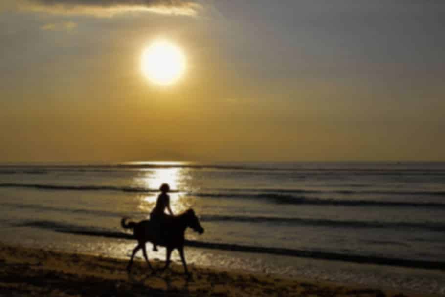 Horse Riding in Seychelles: Everything You Need to Know in 2026
