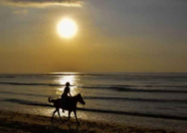 Seychelles Welcomes The Knight riders!