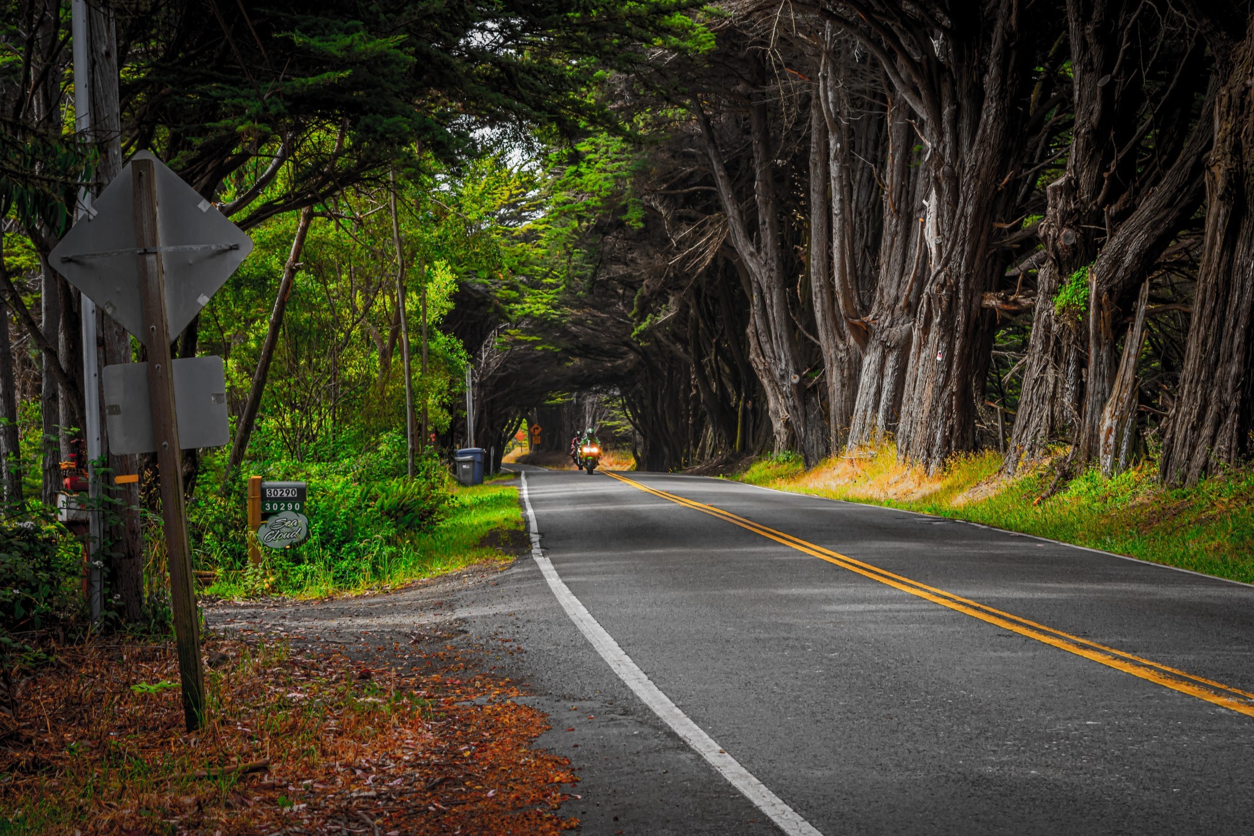 Road trip from Bangalore: Serene road trips near Bangalore