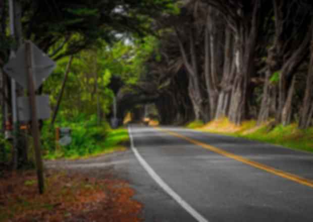 Road trip from Bangalore: Serene road trips near Bangalore