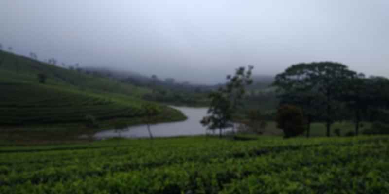 Vagamon scenic Offbeat places in Kerala