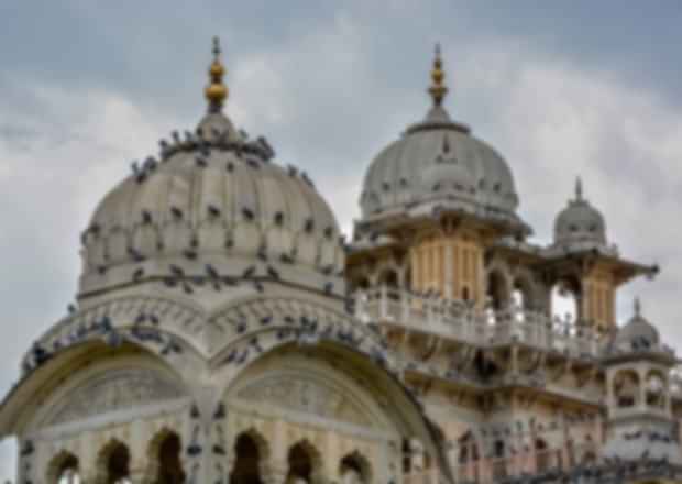 Things to know about Albert Hall Museum in Jaipur