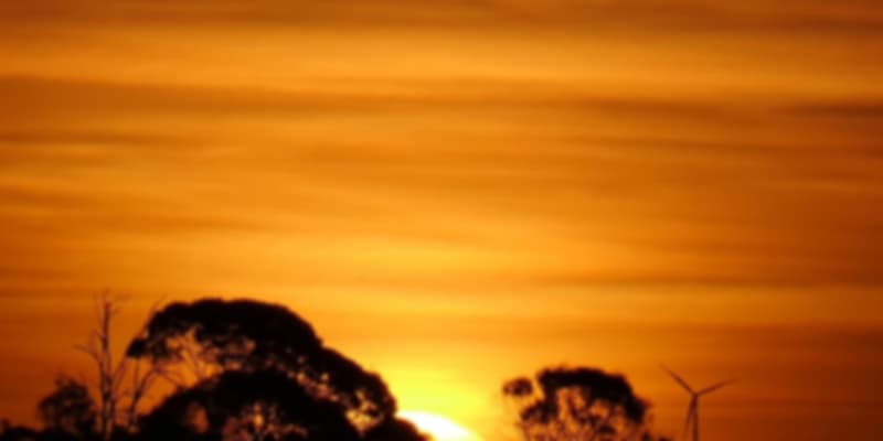 The Most Beautiful Spots in Hamilton, New Zealand