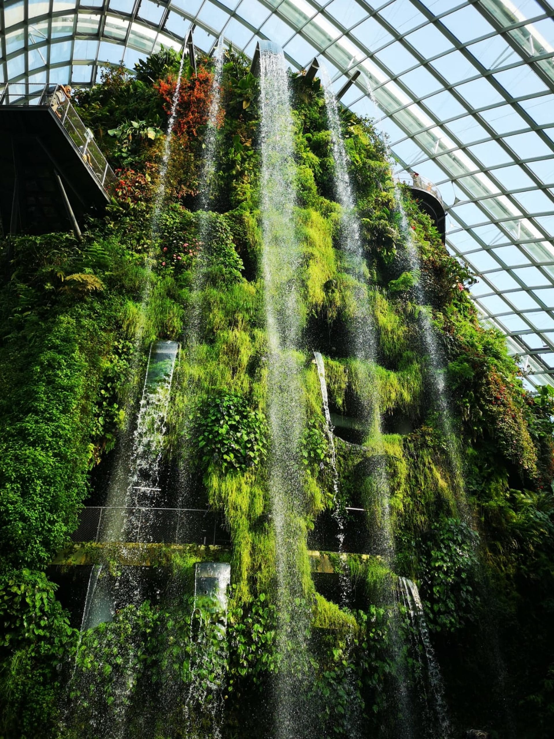 The Green Planet Dubai : Complete Guide to the Indoor Rainforest Bio-Dome