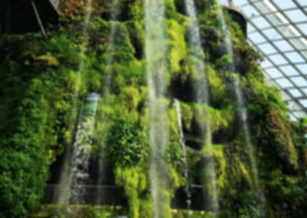 The Green Planet Dubai : Complete Guide to the Indoor Rainforest Bio-Dome