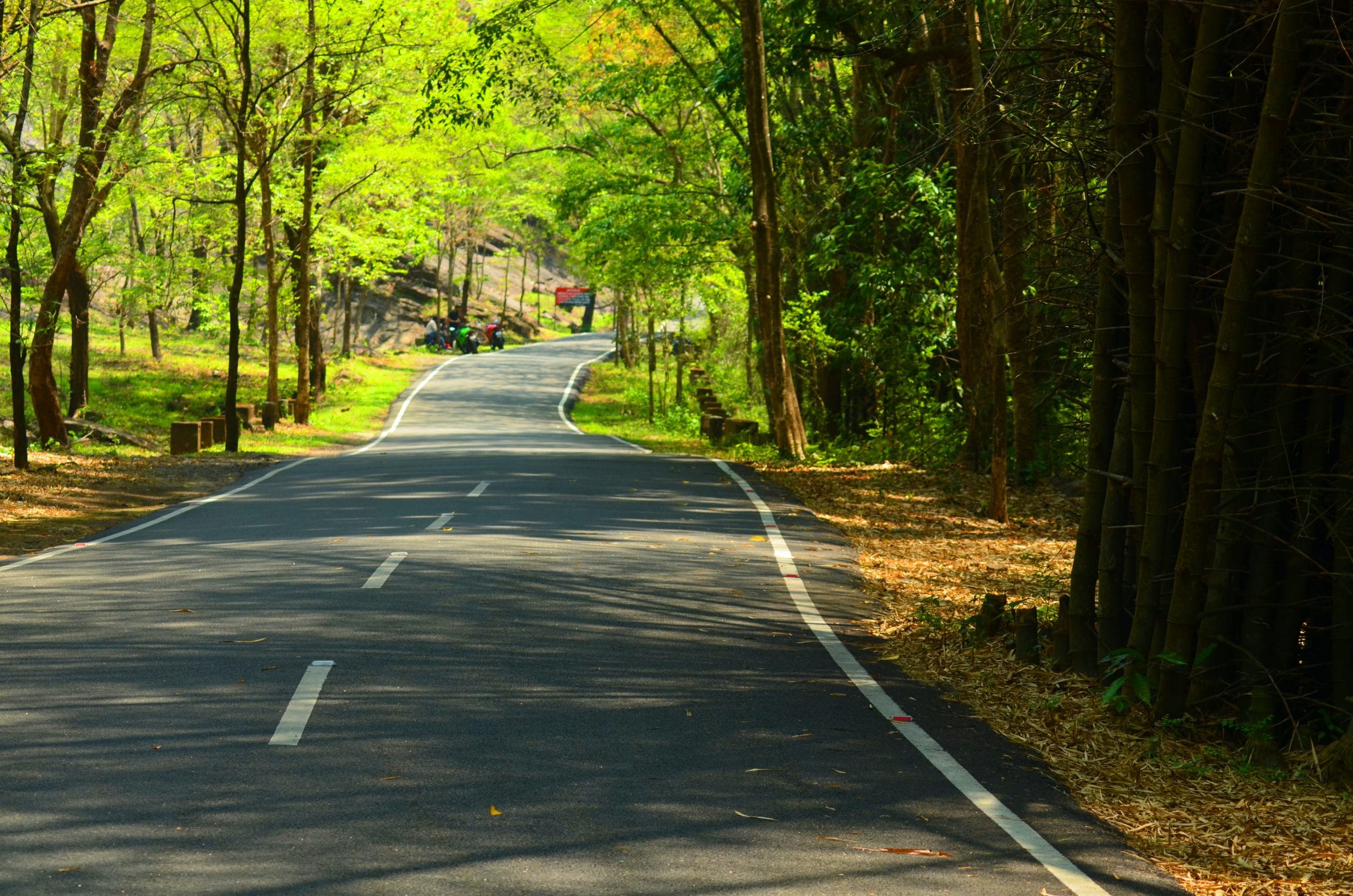The top destinations to visit in Kerala in November