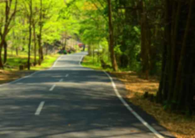Offbeat Places in Kerala – Hidden Treasures