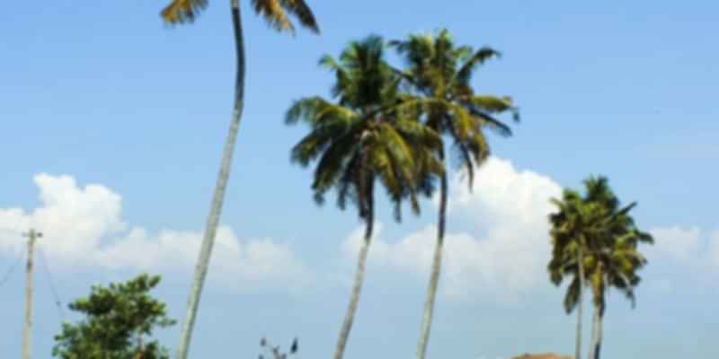 Cochin to Alleppey luxury boats