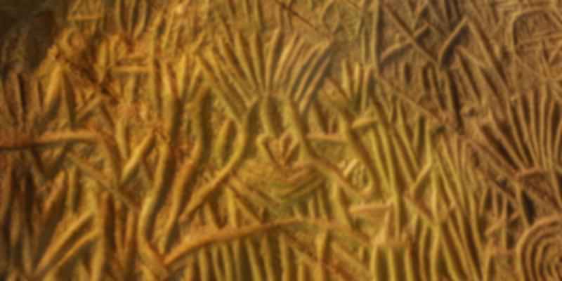 Petroglyph found in the Edakkal Caves