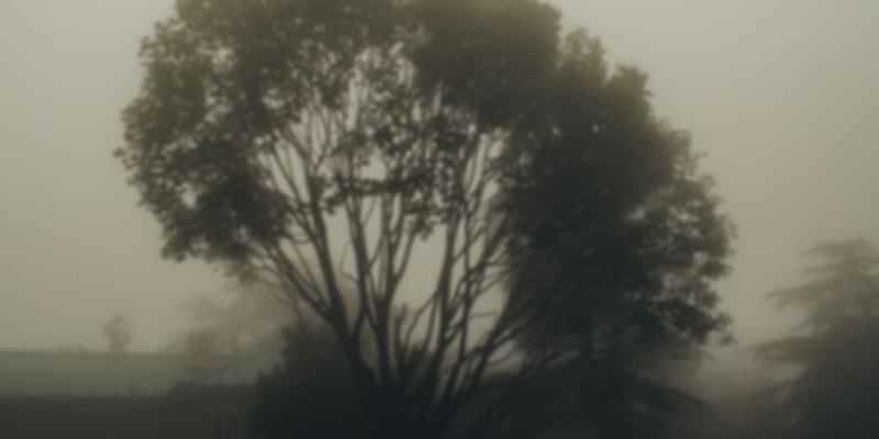 Chail