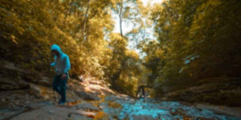 Wayanad