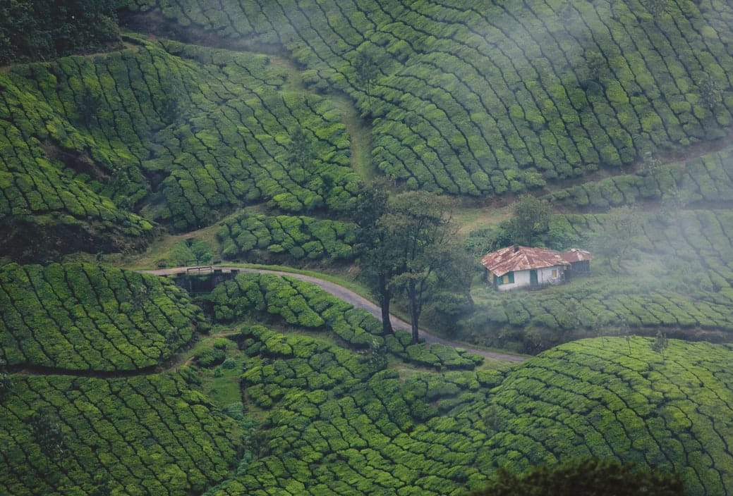 Best photography places in Kerala which are a must-visit