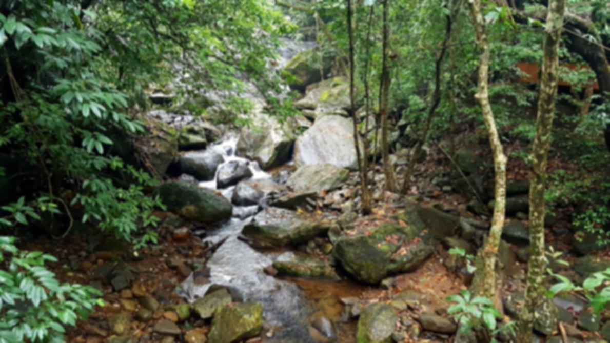 Top 7 perfect road trips from Kochi in 2026 which are a must-try!