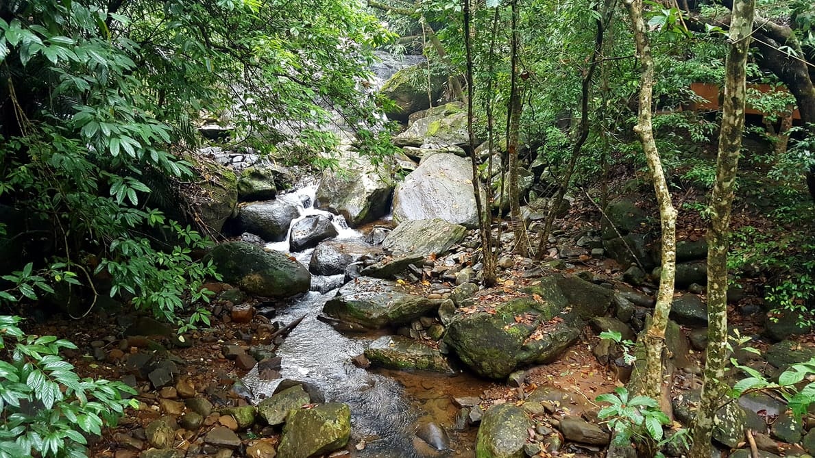 Top 7 perfect road trips from Kochi in 2026 which are a must-try!