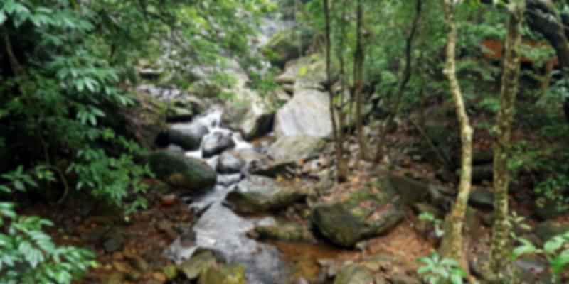 A picture of a waterfall in Wayanad