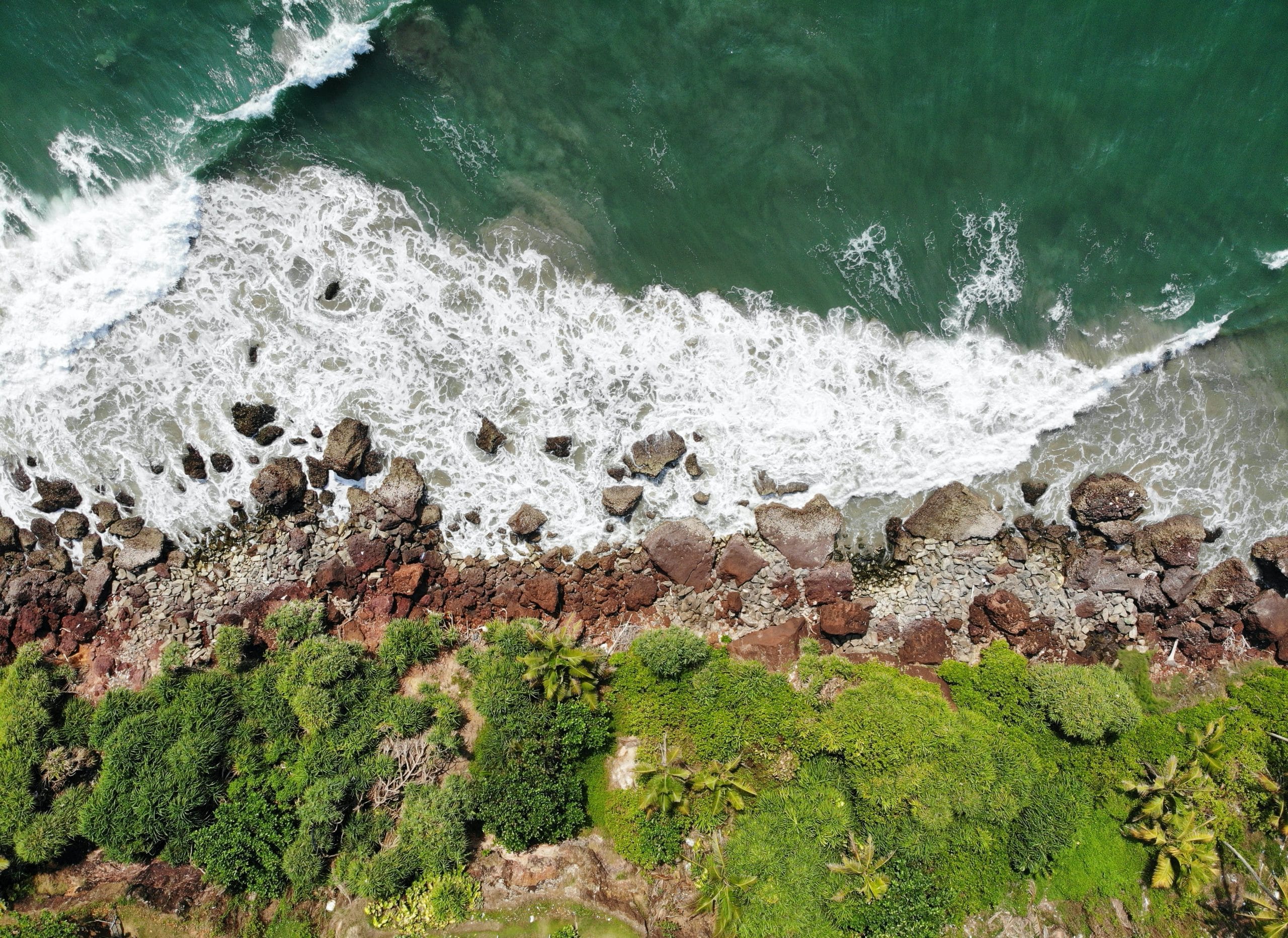Beach Resorts in Varkala: Beautiful Stay Equals To Beautiful Vacation!