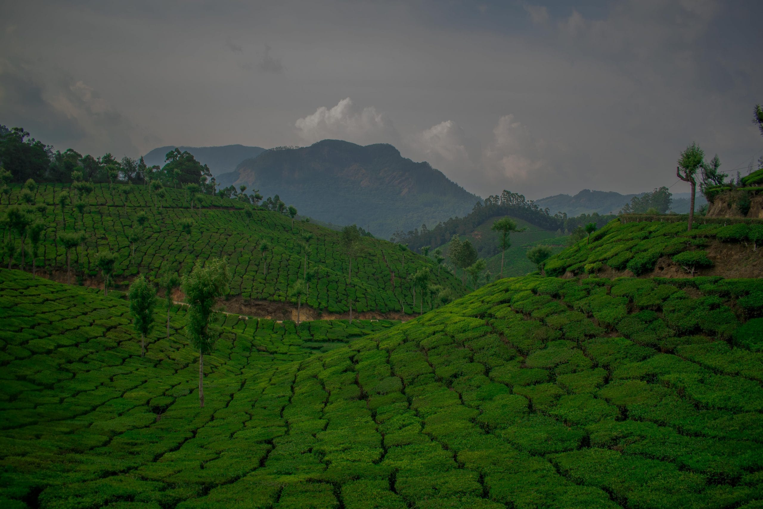 3-Day Trips from Bangalore – Pristine Places to Travel