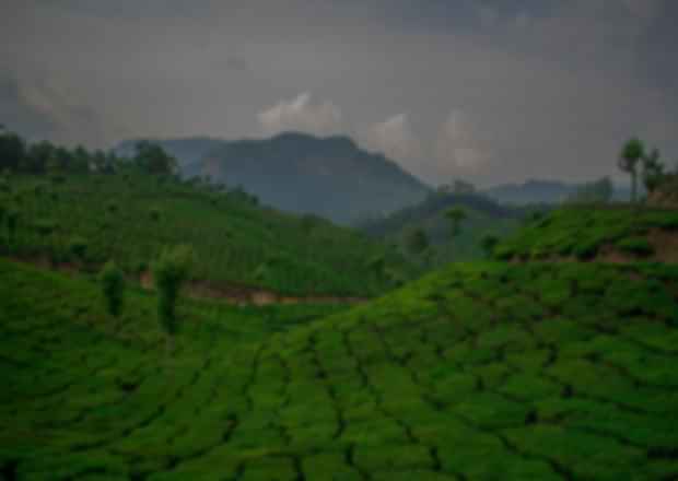 3-Day Trips from Bangalore – Pristine Places to Travel