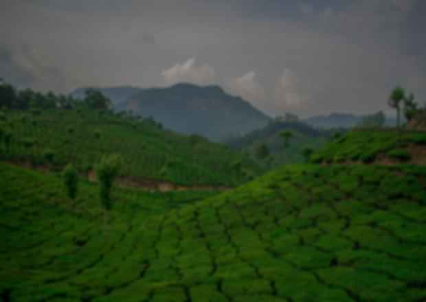 3-Day Trips from Bangalore – Pristine Places to Travel