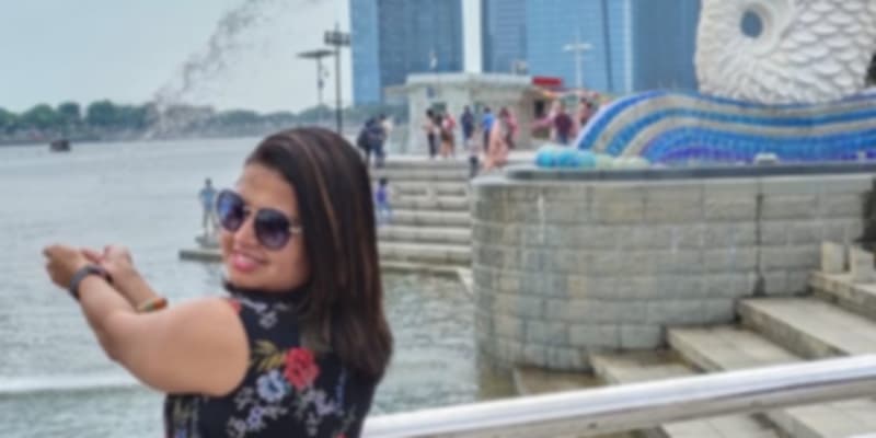 With the lion in the lion city