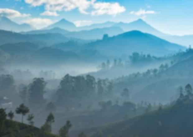 Hill Stations in Kerala: For a Misty Weekend Getaway