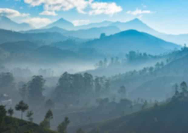 Hill Stations in Kerala: For a Misty Weekend Getaway