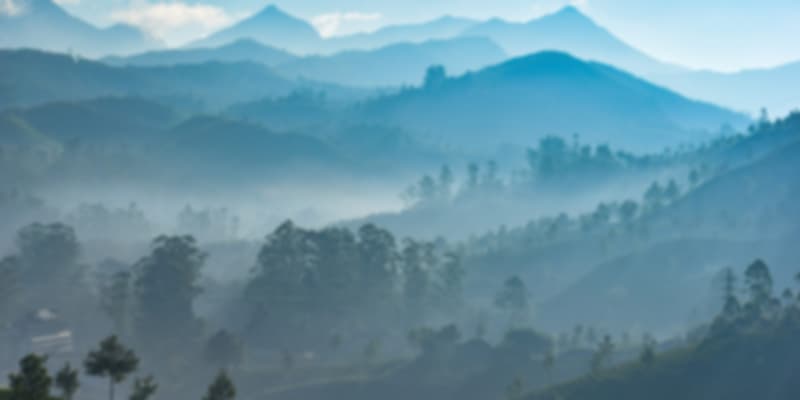 Misty mountains in Munnar in Kerala