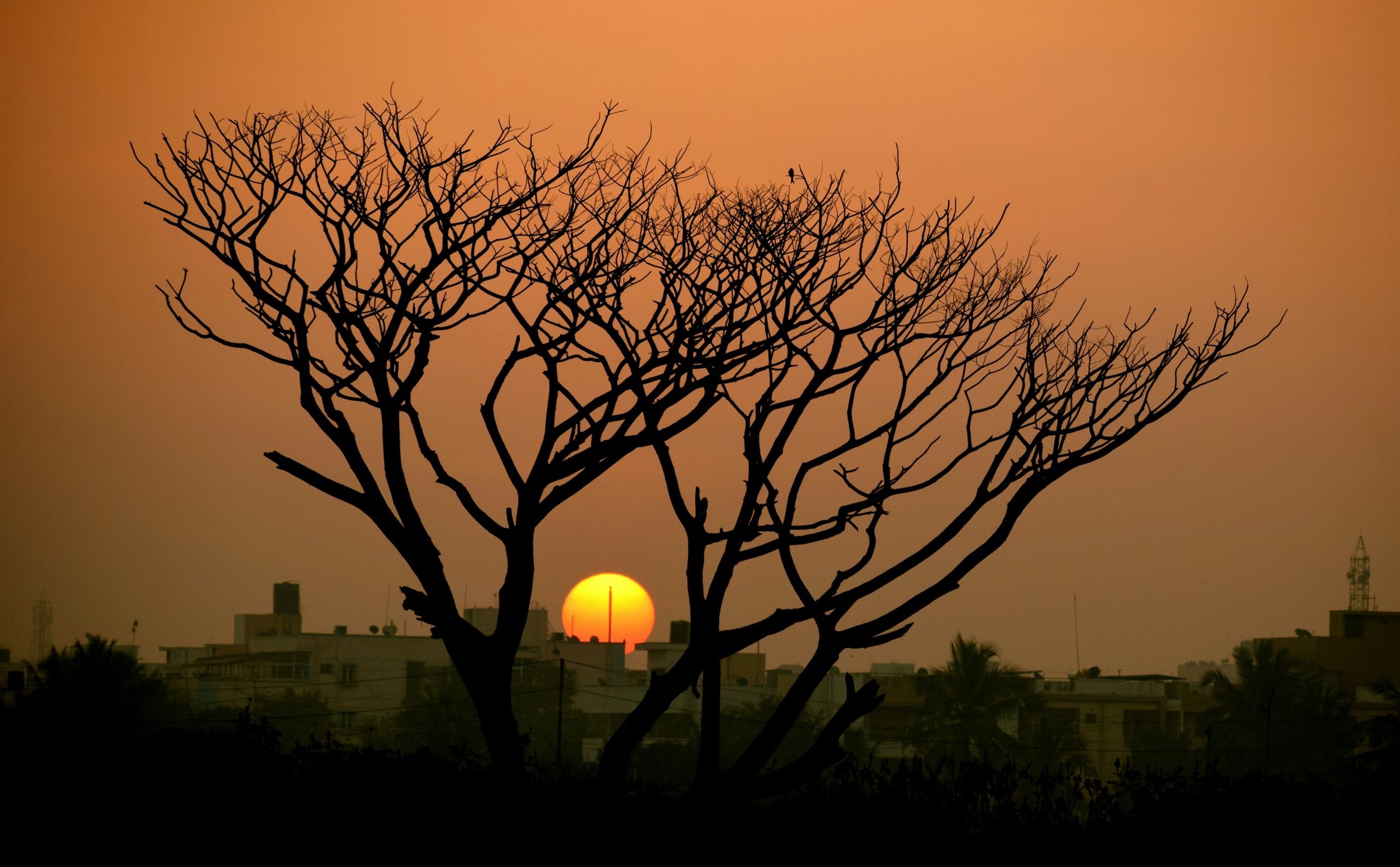 Romantic Getaways near Bangalore: Top 7 Places To Visit For Couples