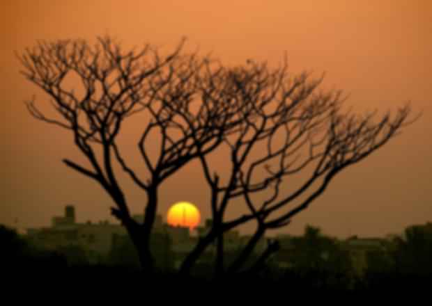 Romantic Getaways near Bangalore: Top 7 Places To Visit For Couples