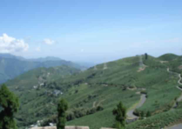 Lamahatta – The Eco-Tourism Place