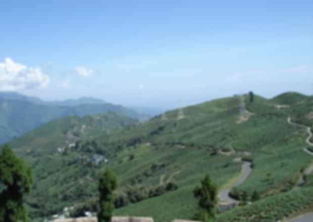 Lamahatta – The Eco-Tourism Place
