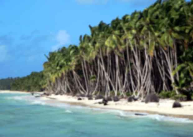 Cocos Island in Australia- A Beautiful Spot For Your Honeymoon