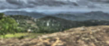 blog-card